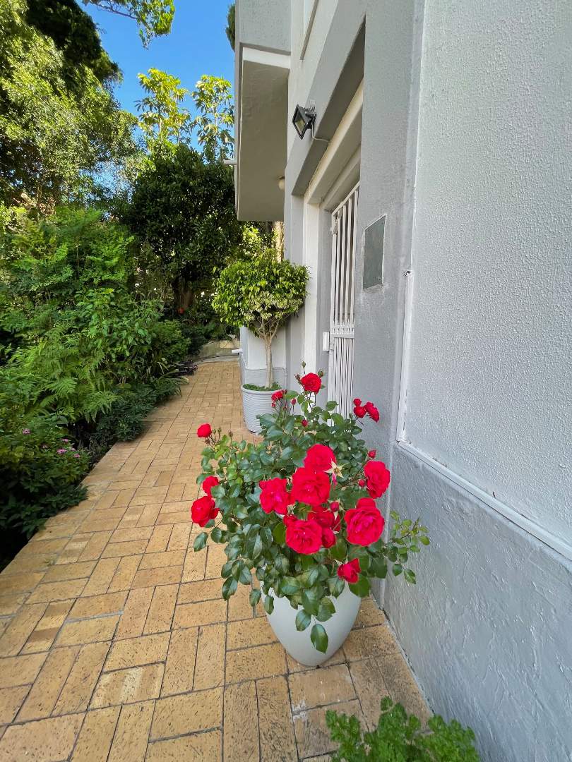 To Let 2 Bedroom Property for Rent in Vredehoek Western Cape